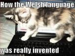 How the Welsh language was really invented